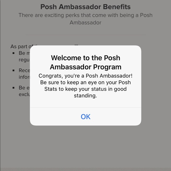 ❤️POSH AMBASSADOR❤️ - Picture 2 of 4
